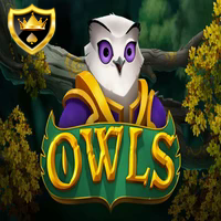 owls