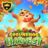 GROUNDHOG HARVEST